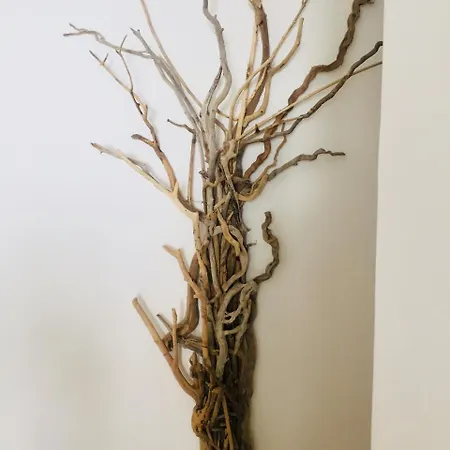 فندق Kosteli هيماري