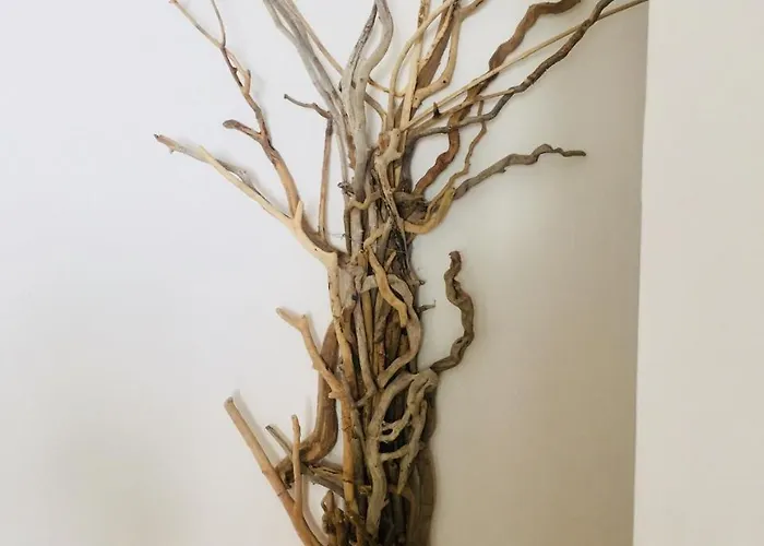 فندق Kosteli هيماري